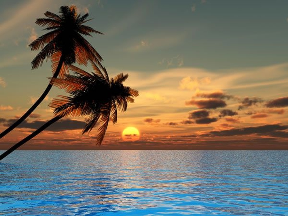 view.jpg